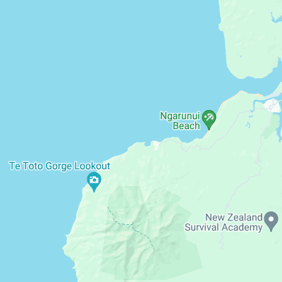 Raglan - Whale Bay surf map