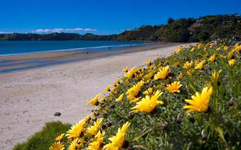 Onetangi Beach - New Zealand